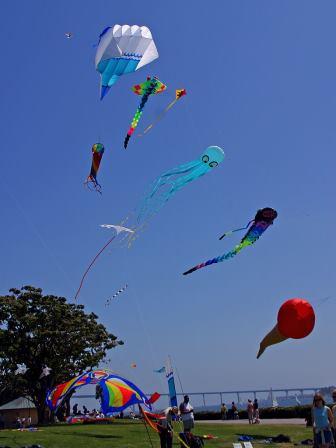 Kites in sunny blue sky